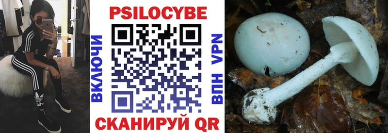 Купить  Берёзовский  Галлюциногенные грибы GOLDEN TEACHER 